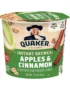 Quaker Oatmeal Bowl Apple Cinnamon (24 ct/1.51 oz)